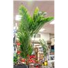 Image 2 : NEW CONDITION UNBOXED SET OF 2 - 6' FAUX FERNS