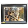 Image 1 : CARL BRENDERS SNOW LEOPARD LTD EDITION SIGNED