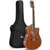 Image 1 : NEW VANGOA 12 STRING ACOUSTIC ELECTRIC GUITAR