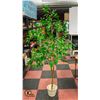 ARTIFICIAL FIG TREE, 6 FEET TALL, WITH