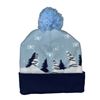 Image 2 : NEW MULTICOLOR BRIGHT LED XMAS THEME WINTER TOUQUE