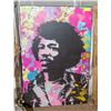 Image 1 : JIMMI HENDRIX WALL PLAQUE VINTAGE 4FT X 2FT