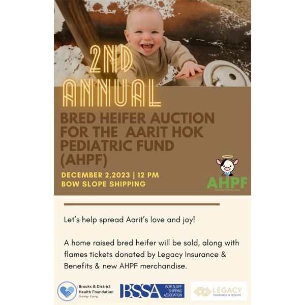Aairt Hok Pediatric Fund - DONATION HEIFER - 1 Head