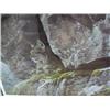 Image 2 : # 9232 LIMITED EDITION PRINT "AT THE CLIFF" ROBERT BATEMAN