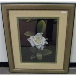 #11183  FRAMED PRINT "GARDENIA GLORY"