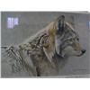 Image 2 : #9239  LIMITED EDITION PRINT "COYOTE HEAD STUDY" ROBERT BATEMAN