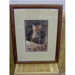 #9821  LIMITED EDITION PRINT "JUST SHY OF SLY" CARL BRENDERS