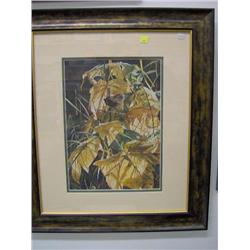 #10143 LIMITED EDITION PRINT " GOLDEN PERCH" ANDREW KISS