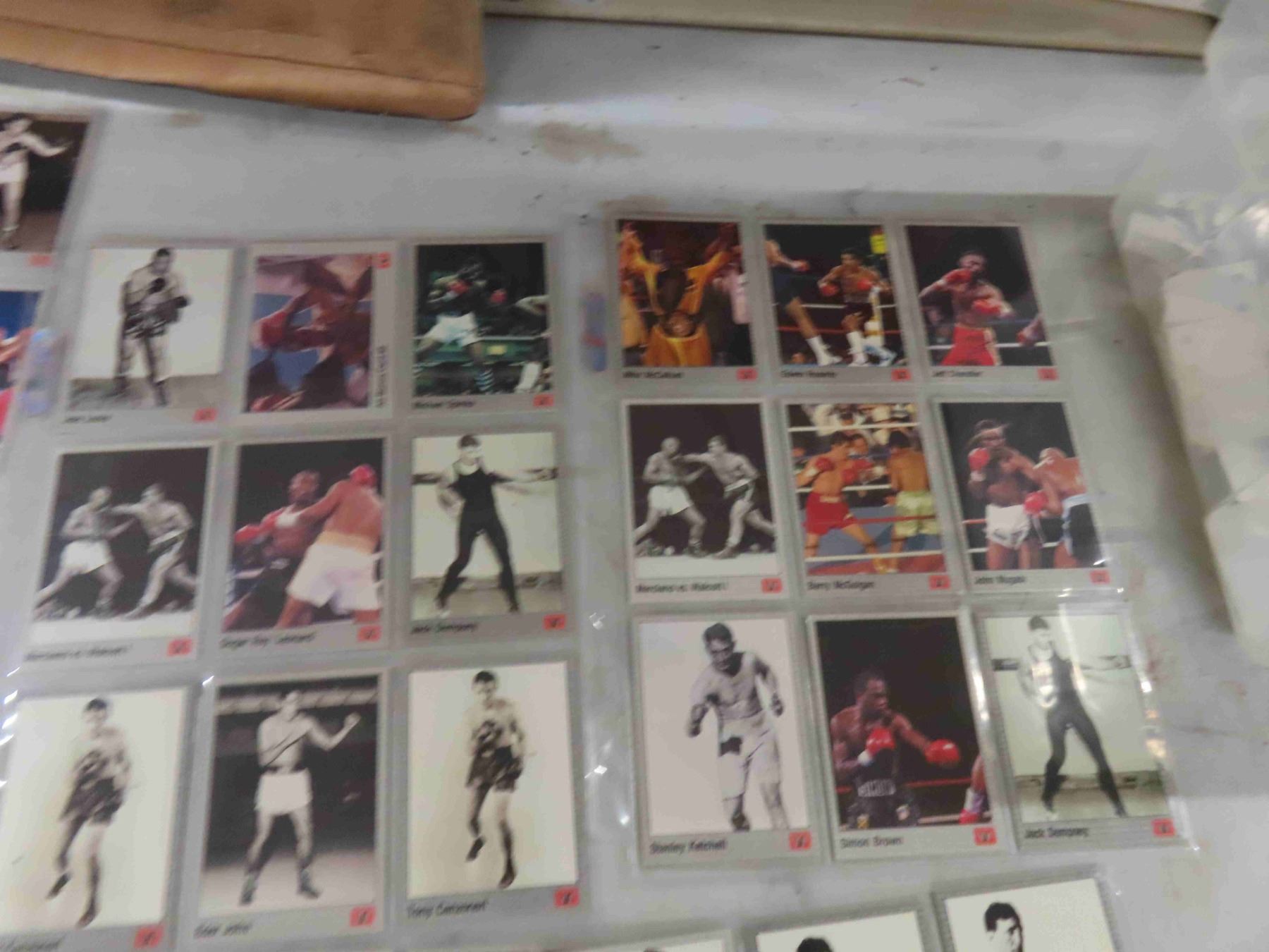 74 Boxing Cards from 1991