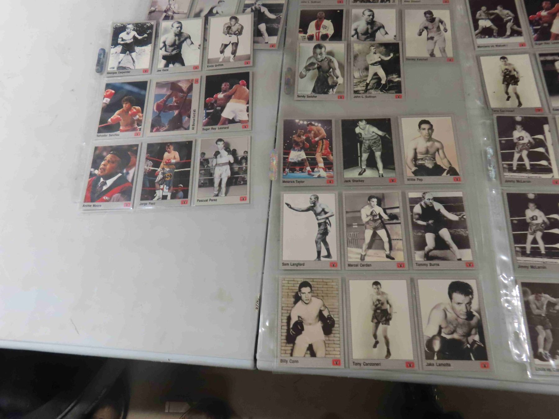 74 Boxing Cards from 1991