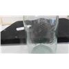 Image 2 : Beaver Sealer Quart Jar