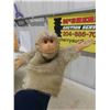 Image 2 : 2 Vintage Steiff Jocko The Monkey Hand Puppets - Both in Very Good Condition