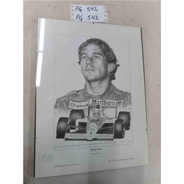 Ayrton Senne Picture ' Speed King' Limited Edition 600 Points World Wide 12" x 16"