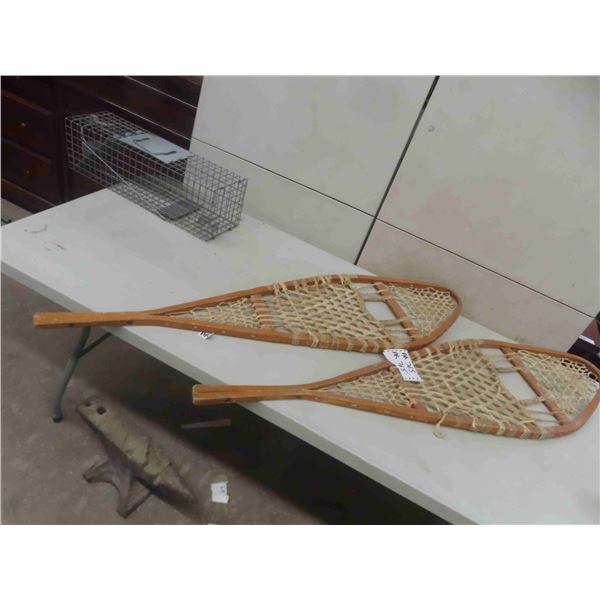 Set of Snow Shoes 14  x 48  