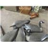 Image 3 : 8 Floater Canada Geese Decoys