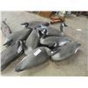 Image 4 : 8 Floater Canada Geese Decoys
