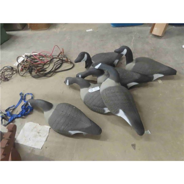 6 Land Canada Geese Decoys