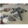 Image 1 : 6 Land Canada Geese Decoys