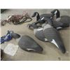 Image 3 : 6 Land Canada Geese Decoys