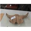 Image 1 : Buffalo Skull 24'' Horn Spread