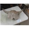Image 1 : Buffalo Skull 20 1/2'' Horn Spread