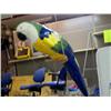 Image 1 : PARROT ON A SWING