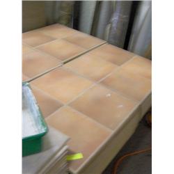 COMMERCIAL FORMICA FLOORING  TERRA COTTA