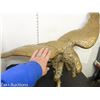 Image 8 : EXTREMELY LARGE SOLID BRASS EAGLE (SEE PICTURES)