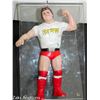 VINTAGE LJN WWF ROWDY RODDY PIPER FIGURINE TITAN