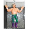 Image 1 : VINTAGE LJN WWF JAKE THE SNAKE FIGURINE TITAN