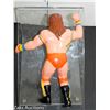 Image 3 : VINTAGE TITAN WWF ULTIMATE WARRIOR FIGURINE BLACK CARD