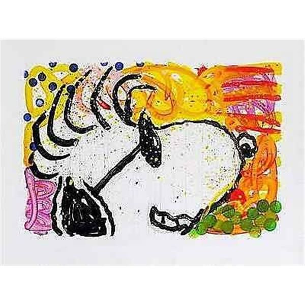 POP STAR by Everhart, Tom