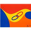 Image 1 : Friendship Braniff Airlines by Calder, Alexander