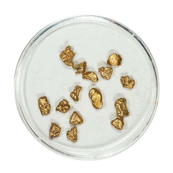 Gold Nuggets 2.85 Grams Total Weight
