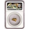 Image 2 : 3.88 Gram Yukon Gold Nugget NGC Graded