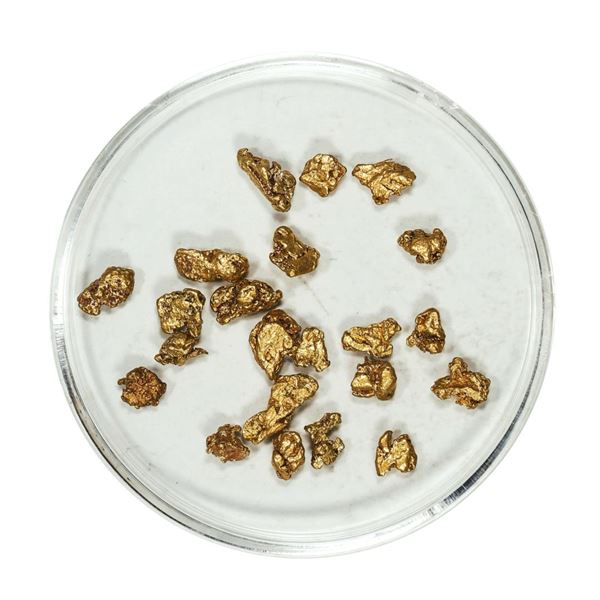 Gold Nuggets 3.39 Grams Total Weight