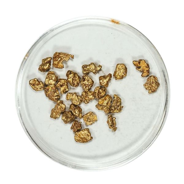 Gold Nuggets 3.56 Grams Total Weight