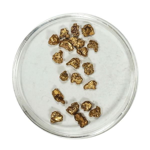 Gold Nuggets 3.12 Grams Total Weight