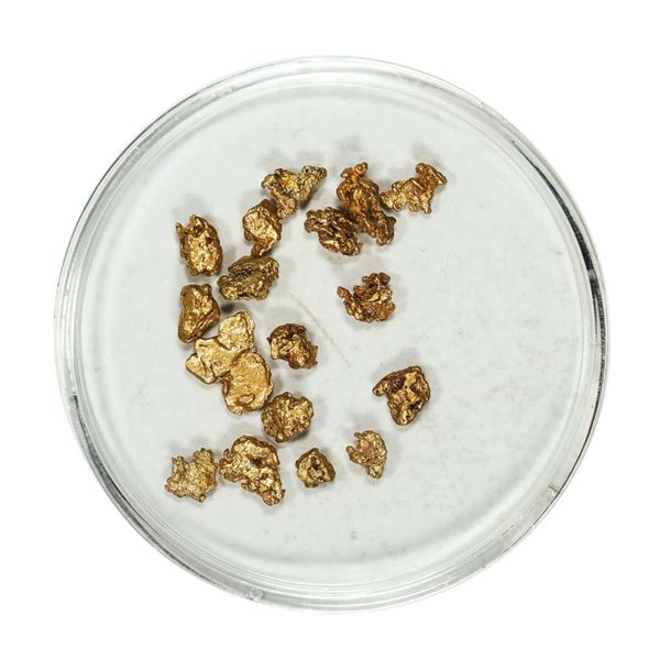 Gold Nuggets 2.62 Grams Total Weight