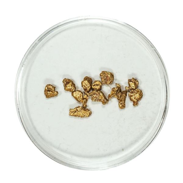 Gold Nuggets 1.61 Grams Total Weight