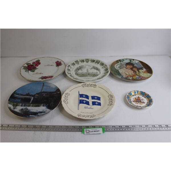 (6) Collector Plates