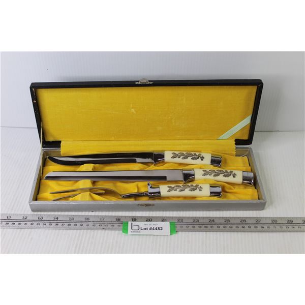 Vintage Stainless Steel Carving Knife Set in Case