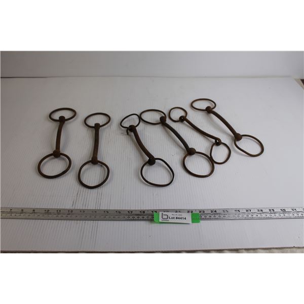 (6) Horse Bits