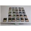Image 1 : (26) Magic the Gathering Cards