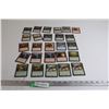 Image 1 : (26) Magic the Gathering Cards
