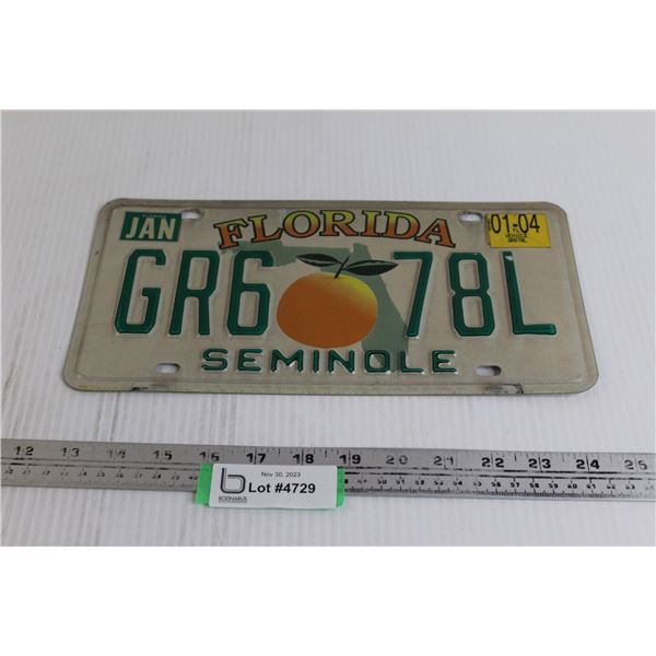 Florida Decorative License Plate