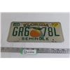 Image 1 : Florida Decorative License Plate