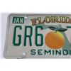 Image 2 : Florida Decorative License Plate