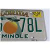 Image 3 : Florida Decorative License Plate