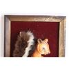 Image 2 : Framed Squirrel Artwork - 8 1/4" x 10 1/2"